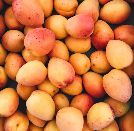 Apricot