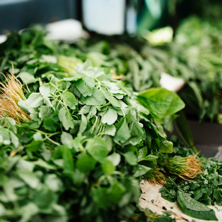 Arugula