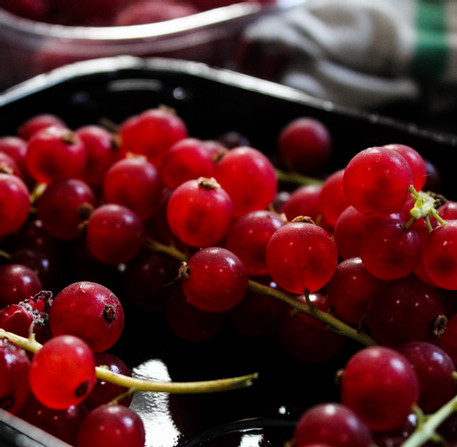 Red Currants