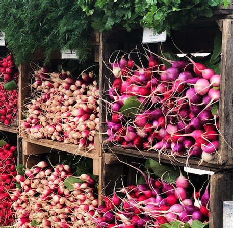 Radish