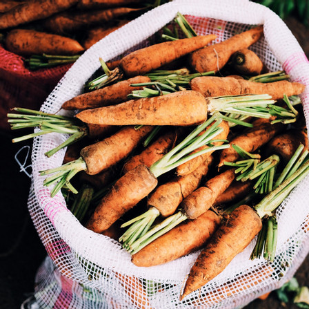 Carrots